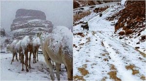 snowing-in-Saudi-Arabia সৌদিতে তুষারপাত