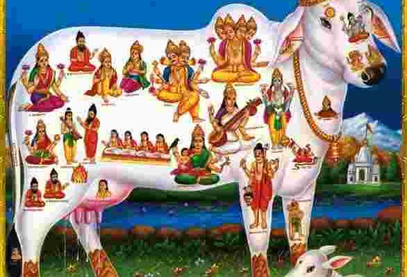 হিন্দুধর্ম ভুল ভ্রান্তি সাদৃশ্য প্রতিমা বা মূর্তি পূজা নিষিদ্ধ হিন্দু ধর্মেই গরুর মাংস বৈজ্ঞানিক ভুল মোহাম্মাদ (স:) সনাতন চূরান্ত কলকি অবতার কলি বেদ শ্রীমদ্ভগবদগীতা বা গীতা মহাভারত পুরাণ উপনিষদ রামায়ণ ঋগ্বেদ যজুর্বেদ সামবেদ অথর্ববেদ ভারত হিন্দুস্থান দেবতা দেবী প্রসাদ গঙ্গা গরু গো-হত্যা গো দেবতা মাংশ